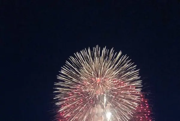 長岡まつり大花火大会の写真・動画_image_622455