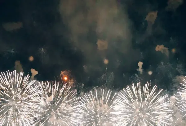 長岡まつり大花火大会の写真・動画_image_622456