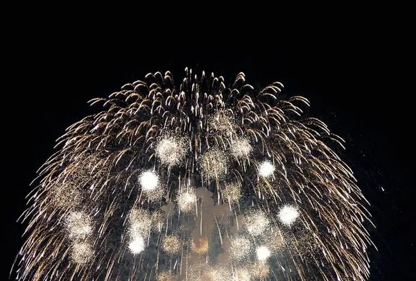 長岡まつり大花火大会の写真・動画_image_622457