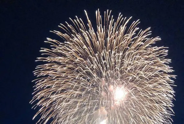 長岡まつり大花火大会の写真・動画_image_622458