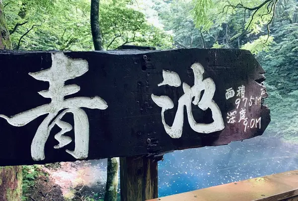 青池の写真・動画_image_622648