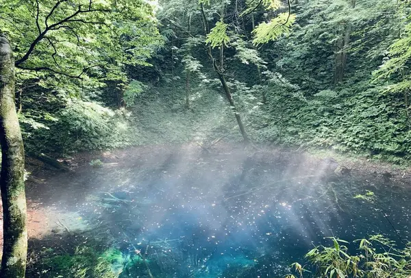 青池の写真・動画_image_622649