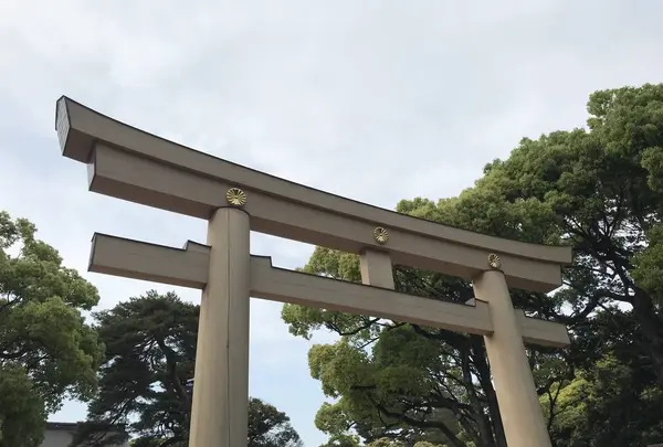 明治神宮の写真・動画_image_623343