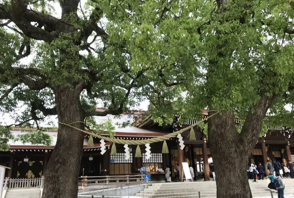 明治神宮の写真・動画_image_623344