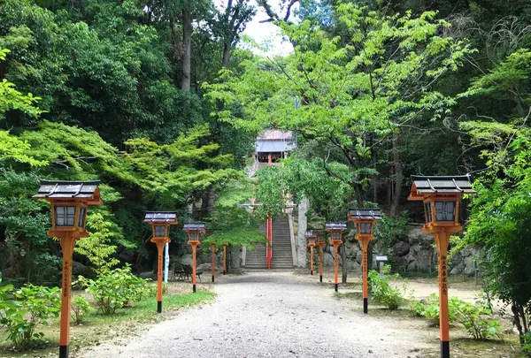 売布神社の写真・動画_image_623739