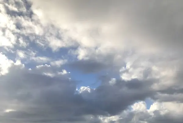 Diamond head（ダイヤモンド・ヘッド）の写真・動画_image_624494