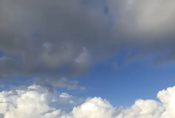 Diamond head（ダイヤモンド・ヘッド）の写真・動画_image_624495