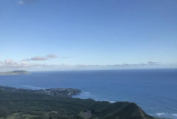 Diamond head（ダイヤモンド・ヘッド）の写真・動画_image_624496