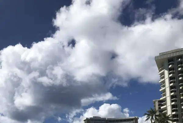 Waikiki Beach（ワイキキ・ビーチ）の写真・動画_image_624504