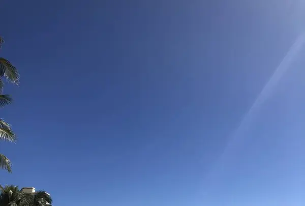 Waikiki Beach（ワイキキ・ビーチ）の写真・動画_image_624505