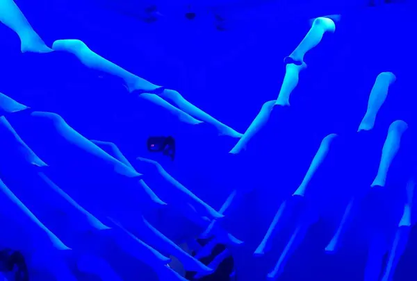 ADER flagship storeの写真・動画_image_624526