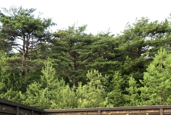 富貴温泉　富貴の森の写真・動画_image_624665