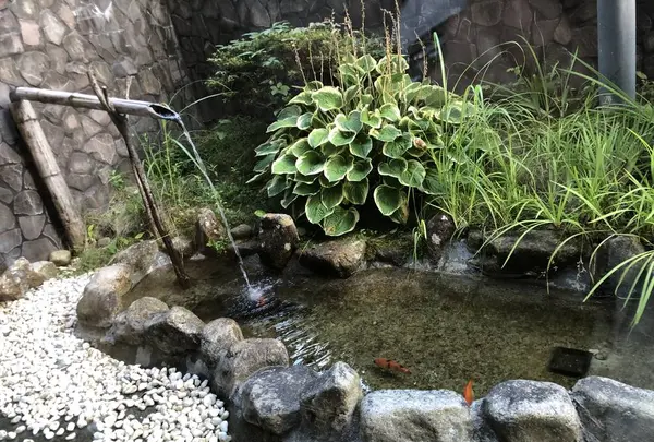 富貴温泉　富貴の森の写真・動画_image_624666