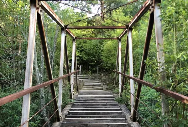 富貴温泉　富貴の森の写真・動画_image_624667