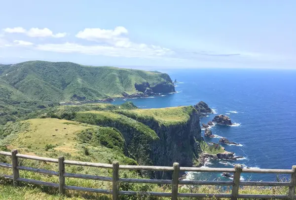 国賀海岸の写真・動画_image_625029
