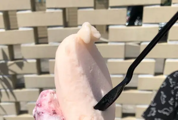 凜太郎ジェラテリアの写真・動画_image_627833