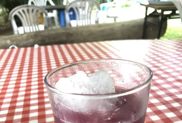 出山果樹園の写真・動画_image_627868