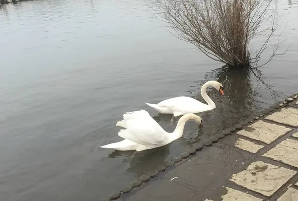 道の駅水の郷さわらの写真・動画_image_627919