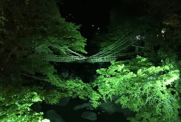 祖谷のかずら橋の写真・動画_image_628224