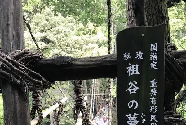 祖谷のかずら橋の写真・動画_image_628225