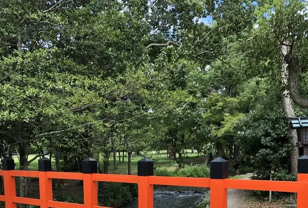 上賀茂神社（賀茂別雷神社）の写真・動画_image_628422