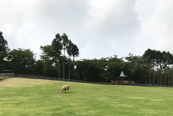 まかいの牧場の写真・動画_image_628490