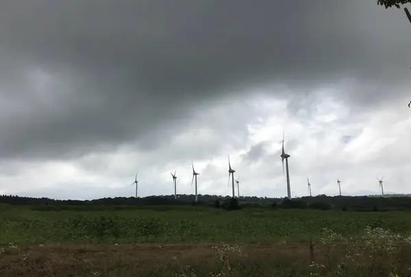 郡山布引“風の高原”の写真・動画_image_630274