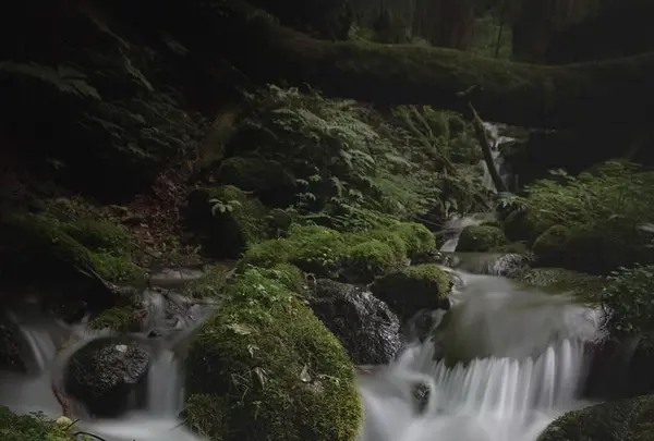スッカン沢の写真・動画_image_630301