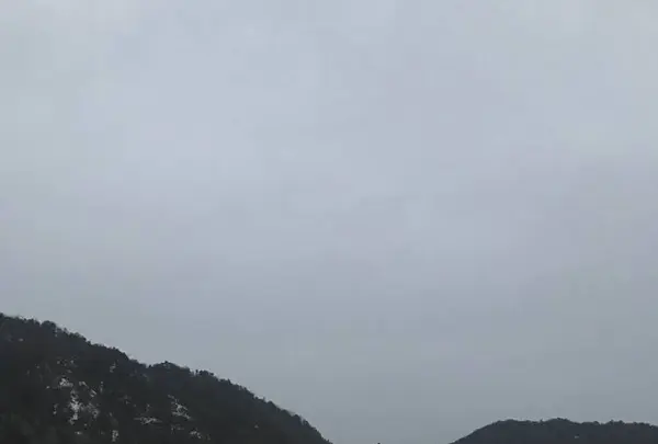 ラコリーナ近江八幡の写真・動画_image_631280