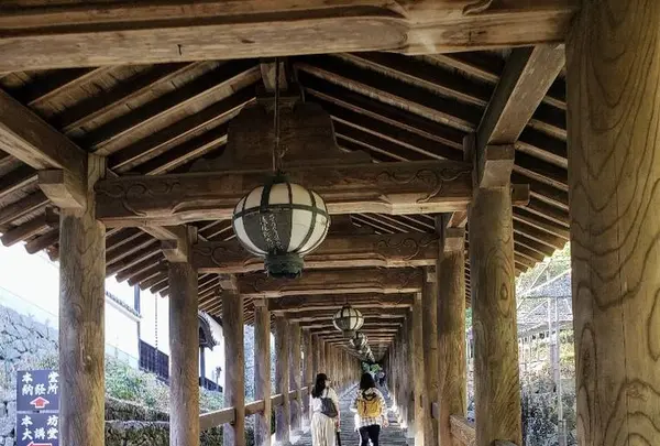 長谷寺の写真・動画_image_632314