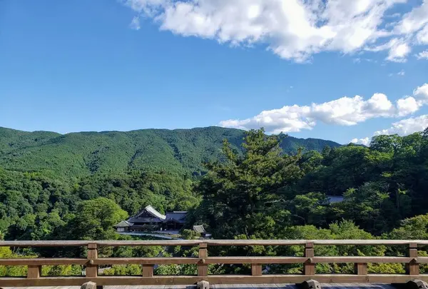 長谷寺の写真・動画_image_632315