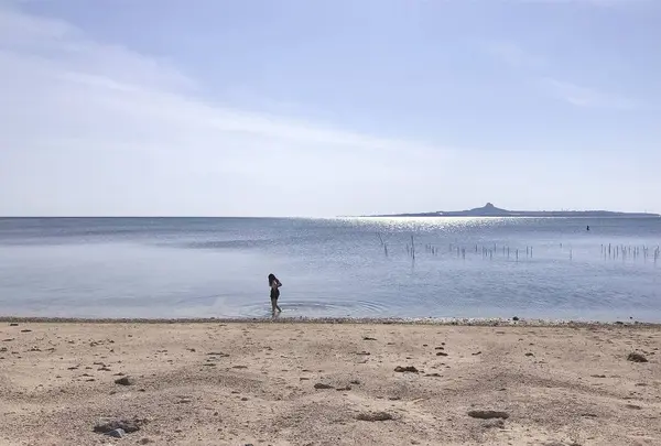 備瀬のフクギ並木の写真・動画_image_632675