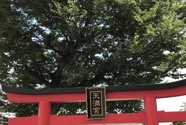 成子天神社の写真・動画_image_633152
