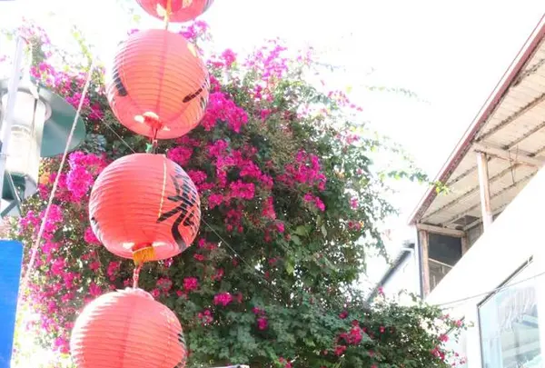 台南の写真・動画_image_633619