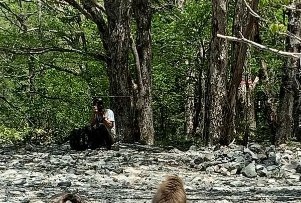 上高地の写真・動画_image_634935