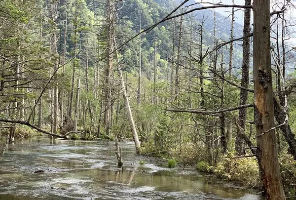 上高地の写真・動画_image_634939