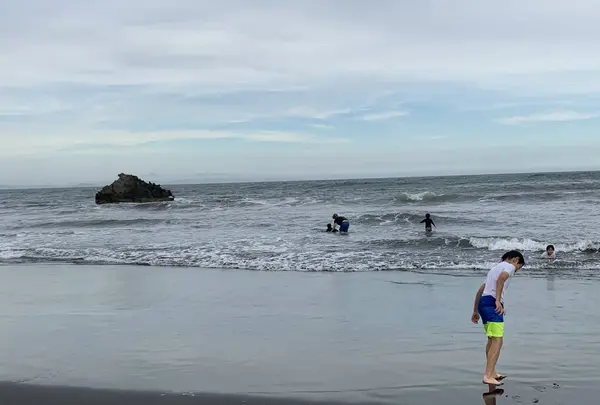 大磯海水浴場の写真・動画_image_634998