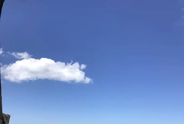 弥彦山の写真・動画_image_635746