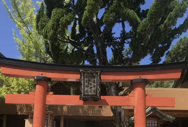 白山神社本殿の写真・動画_image_635754