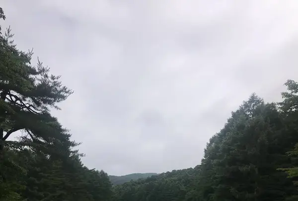 軽井沢72ゴルフ　北の写真・動画_image_635760