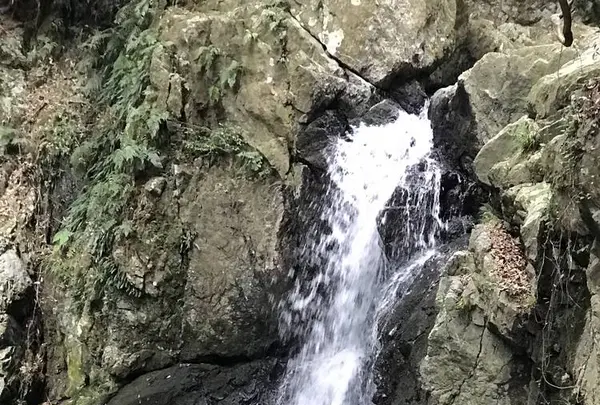 仙厳の滝の写真・動画_image_635772