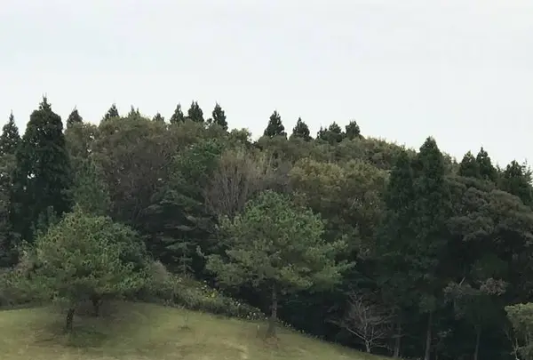 UMKカントリークラブの写真・動画_image_635798