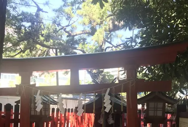 白山神社本殿の写真・動画_image_635808