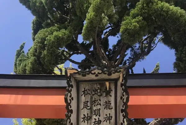 白山神社本殿の写真・動画_image_635811