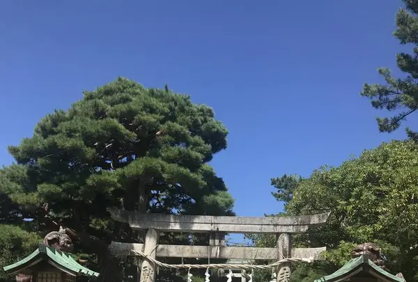 白山神社本殿の写真・動画_image_635813