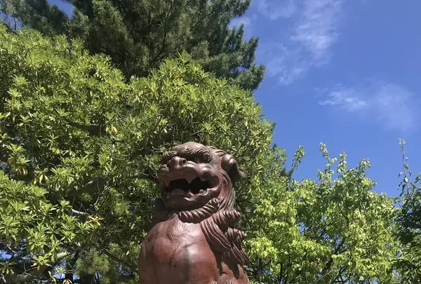 白山神社本殿の写真・動画_image_635814