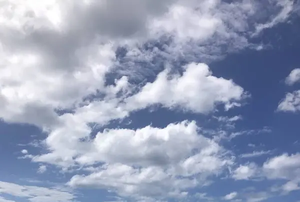 弥彦山の写真・動画_image_635825