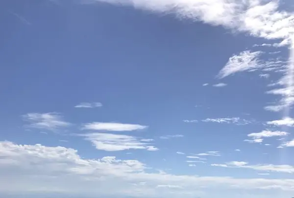 弥彦山の写真・動画_image_635827