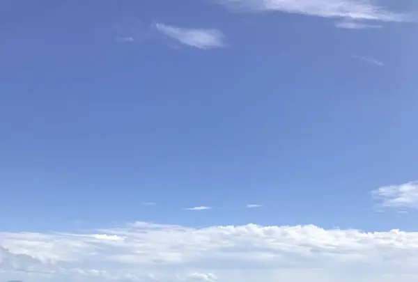 弥彦山の写真・動画_image_635828