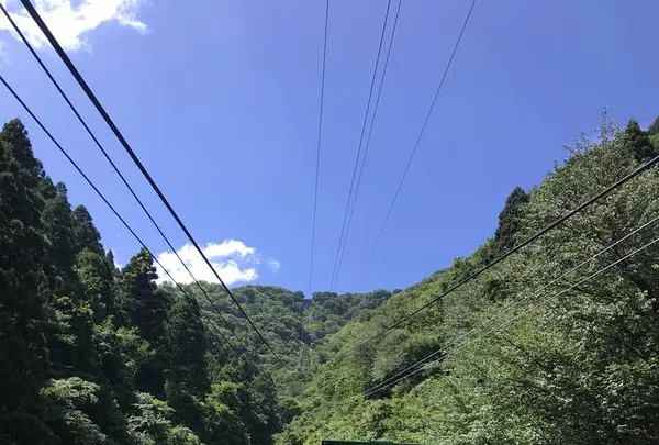 弥彦山の写真・動画_image_635830